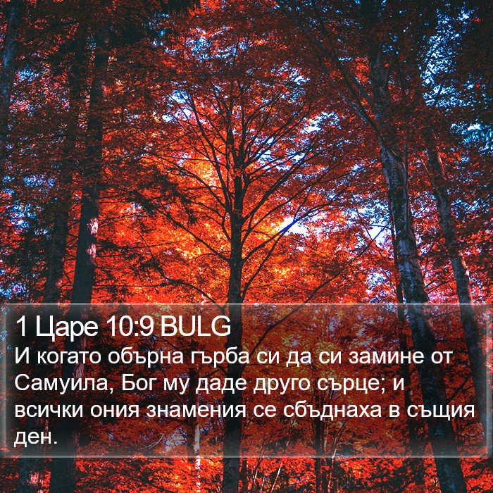 1 Царе 10:9 BULG Bible Study