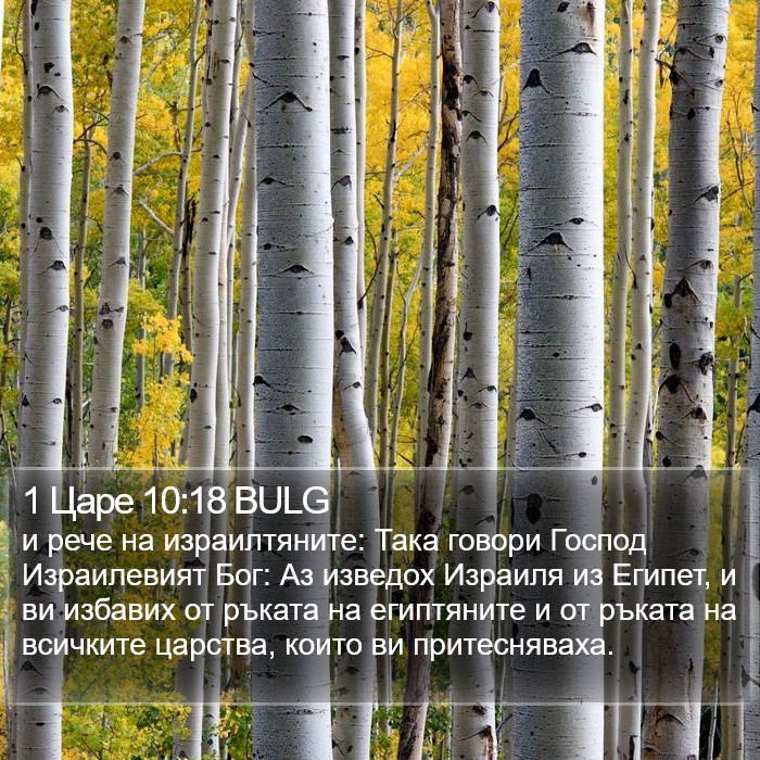 1 Царе 10:18 BULG Bible Study