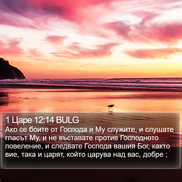 1 Царе 12:14 BULG Bible Study