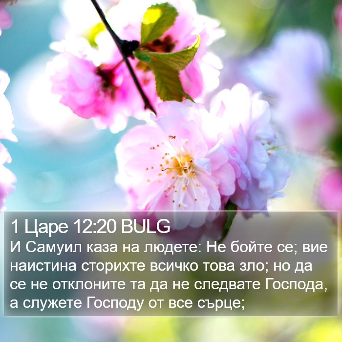 1 Царе 12:20 BULG Bible Study