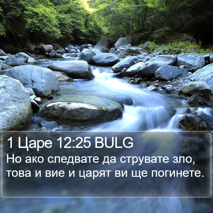 1 Царе 12:25 BULG Bible Study