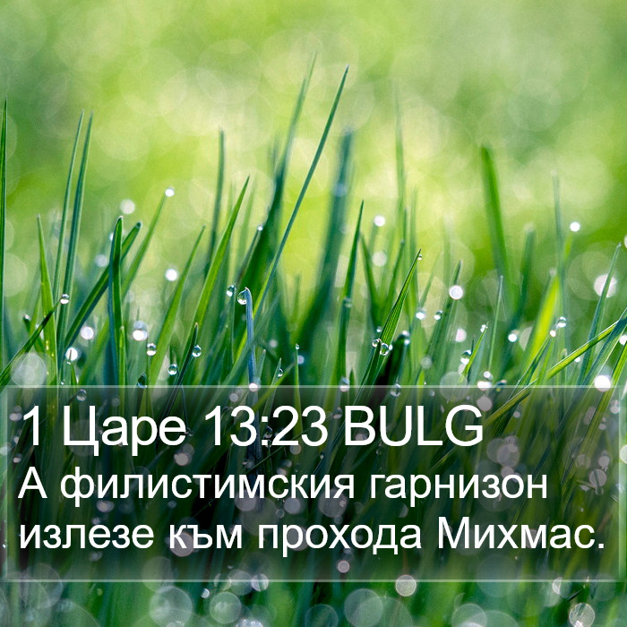 1 Царе 13:23 BULG Bible Study