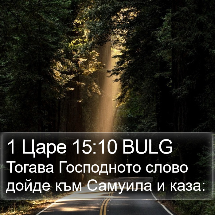 1 Царе 15:10 BULG Bible Study