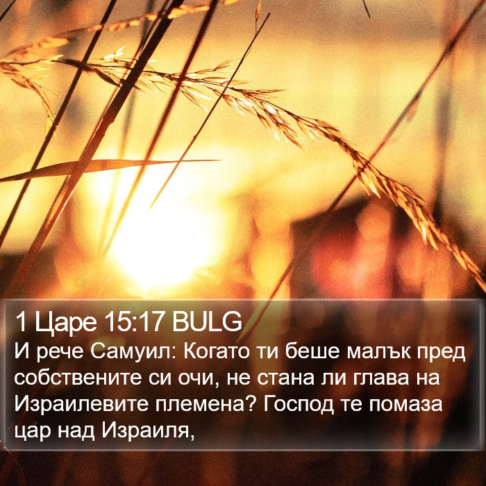 1 Царе 15:17 BULG Bible Study