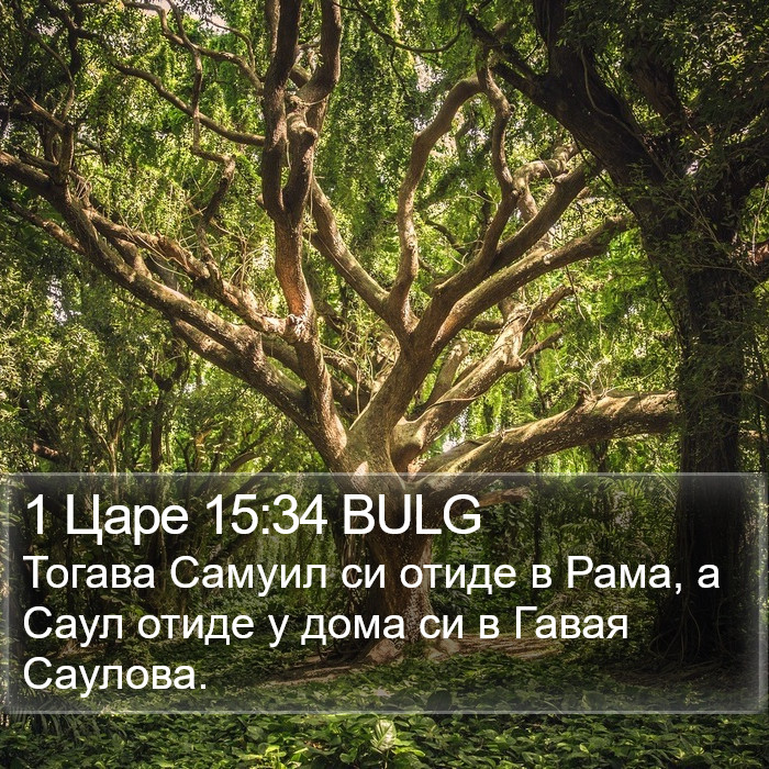 1 Царе 15:34 BULG Bible Study