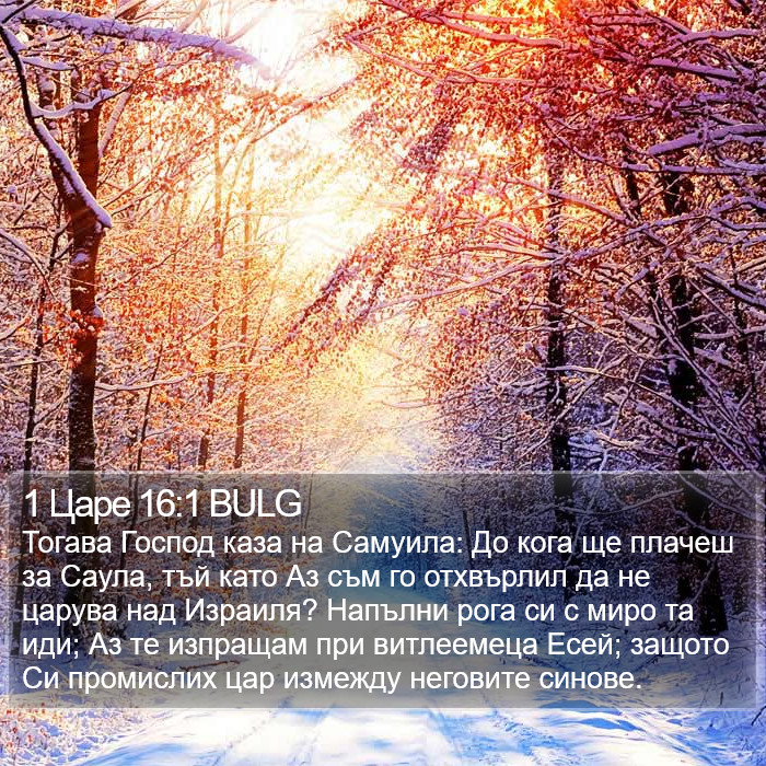 1 Царе 16:1 BULG Bible Study