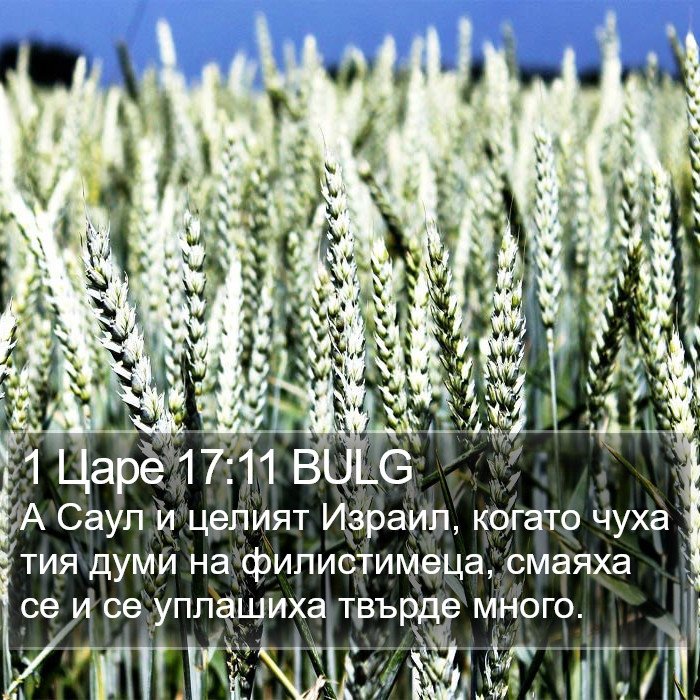 1 Царе 17:11 BULG Bible Study
