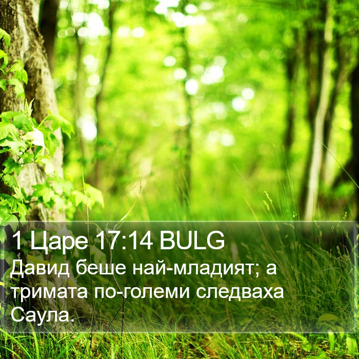 1 Царе 17:14 BULG Bible Study