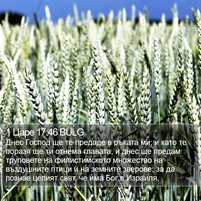 1 Царе 17:46 BULG Bible Study