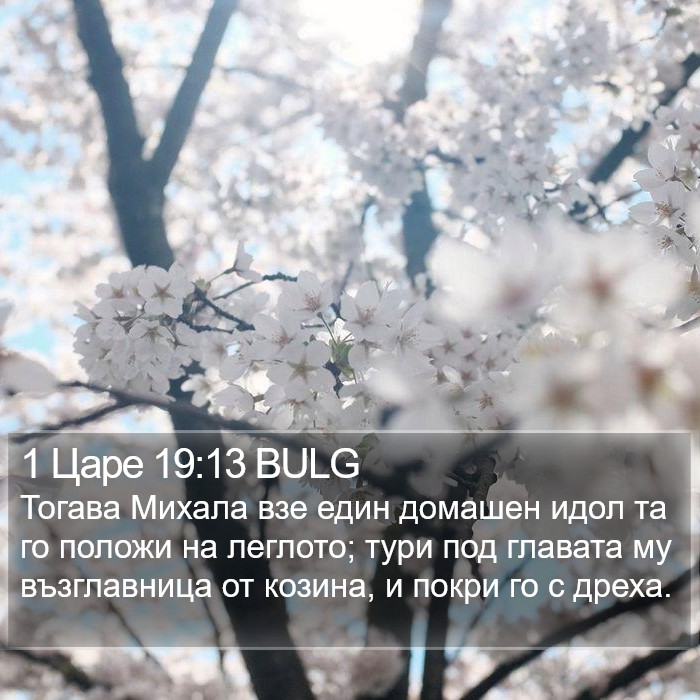 1 Царе 19:13 BULG Bible Study