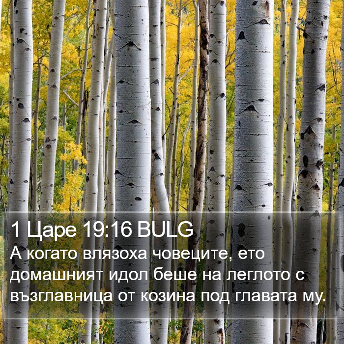 1 Царе 19:16 BULG Bible Study