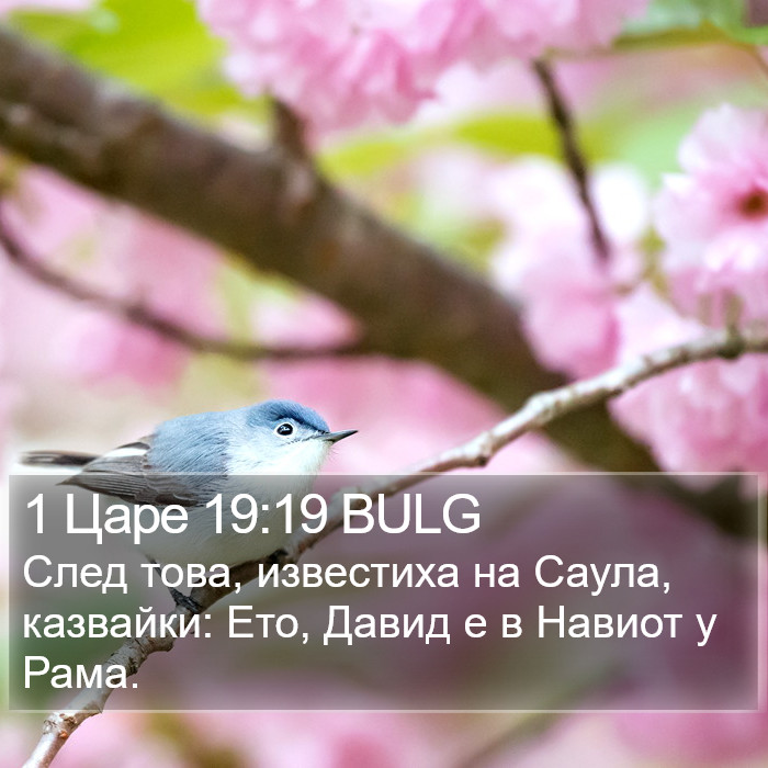 1 Царе 19:19 BULG Bible Study