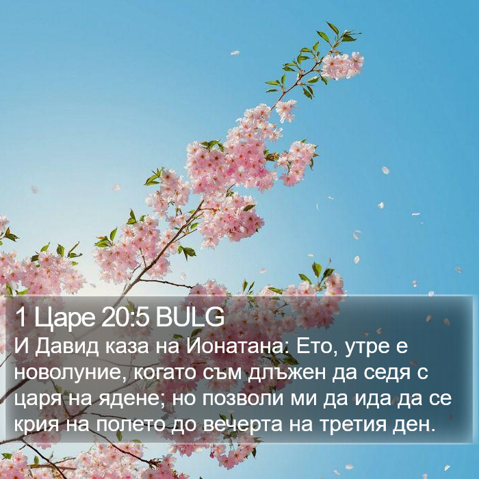1 Царе 20:5 BULG Bible Study