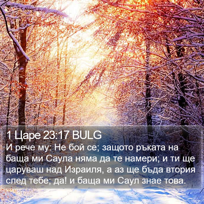 1 Царе 23:17 BULG Bible Study