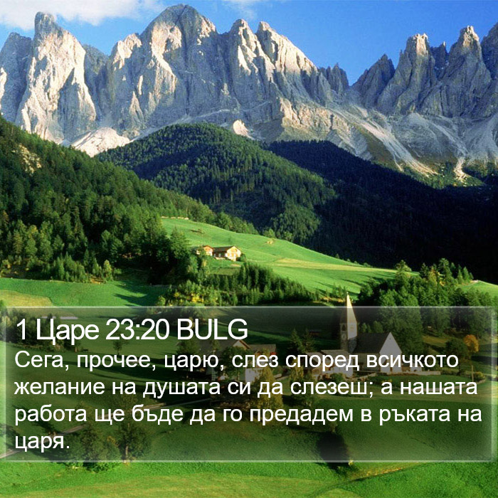 1 Царе 23:20 BULG Bible Study