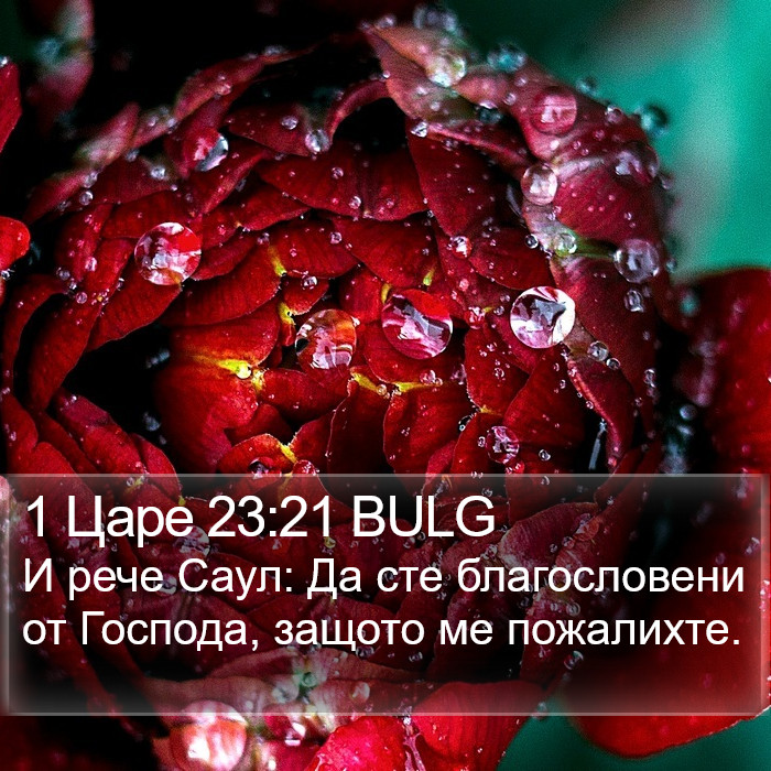 1 Царе 23:21 BULG Bible Study