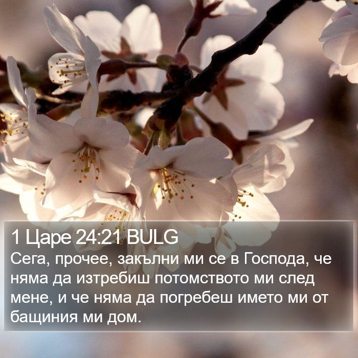 1 Царе 24:21 BULG Bible Study