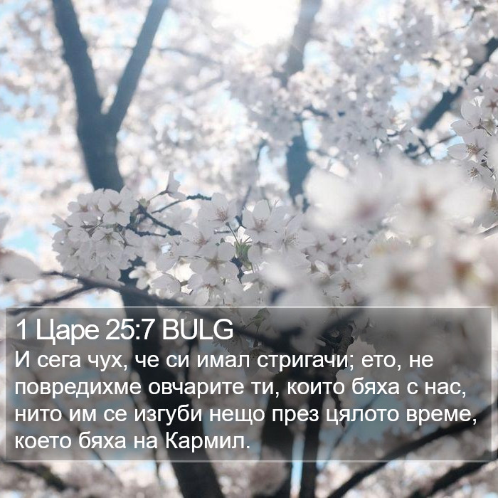 1 Царе 25:7 BULG Bible Study