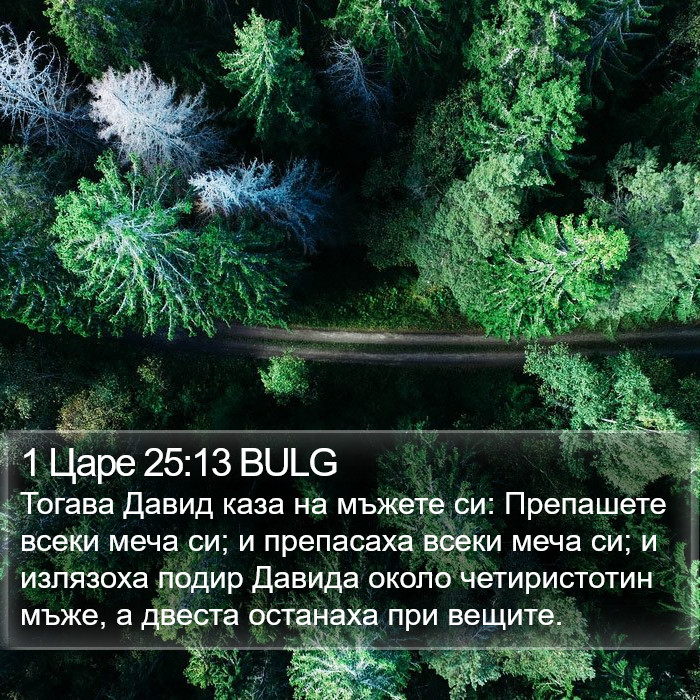 1 Царе 25:13 BULG Bible Study