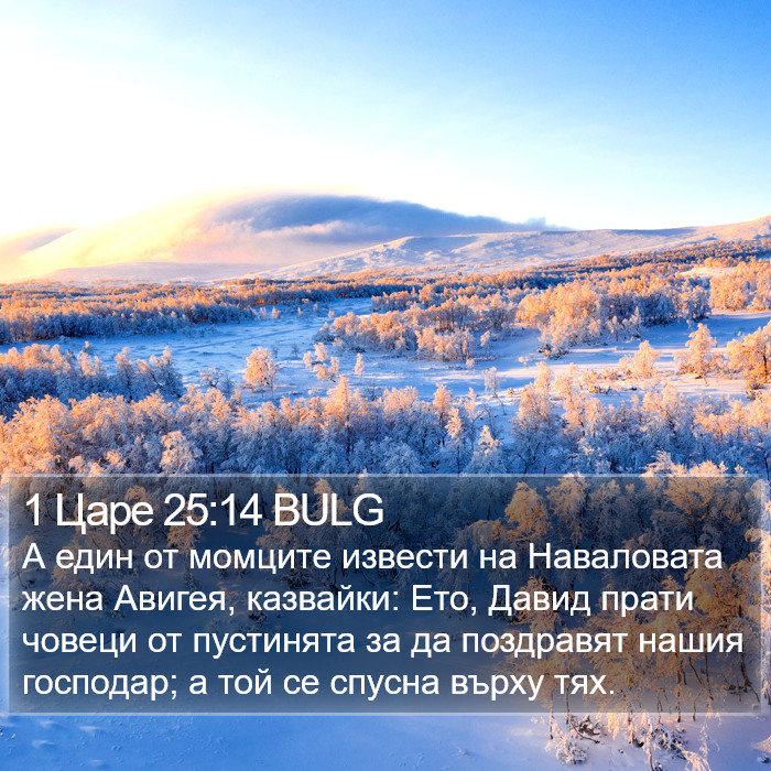1 Царе 25:14 BULG Bible Study
