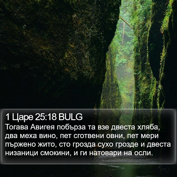 1 Царе 25:18 BULG Bible Study
