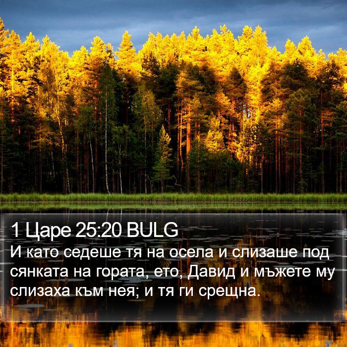1 Царе 25:20 BULG Bible Study