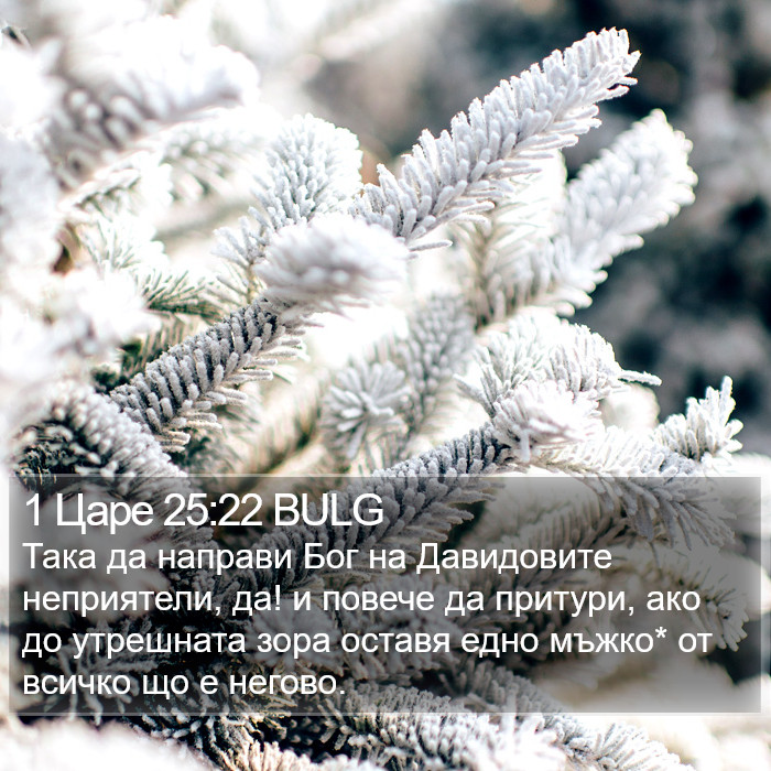1 Царе 25:22 BULG Bible Study