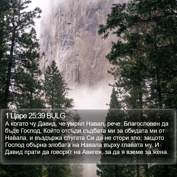 1 Царе 25:39 BULG Bible Study