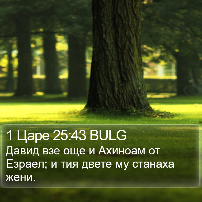 1 Царе 25:43 BULG Bible Study