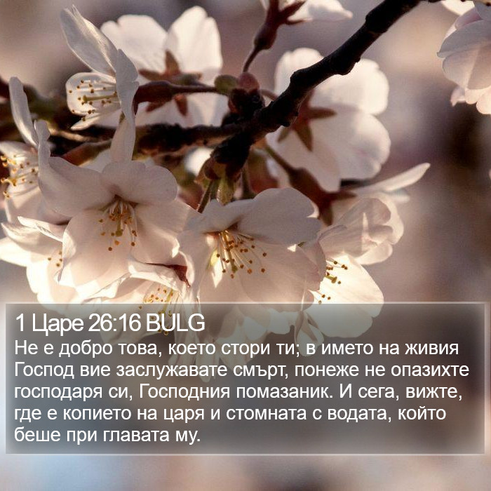 1 Царе 26:16 BULG Bible Study