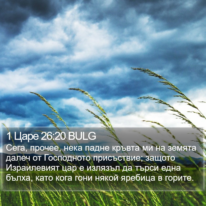 1 Царе 26:20 BULG Bible Study