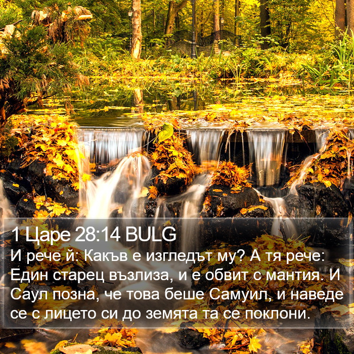 1 Царе 28:14 BULG Bible Study