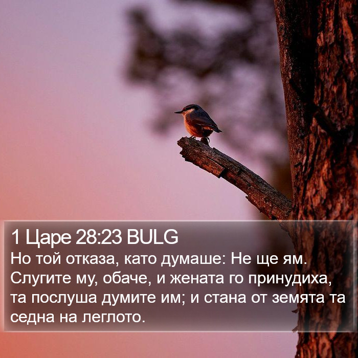 1 Царе 28:23 BULG Bible Study