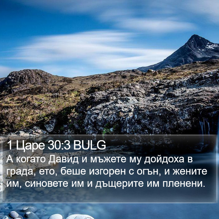 1 Царе 30:3 BULG Bible Study