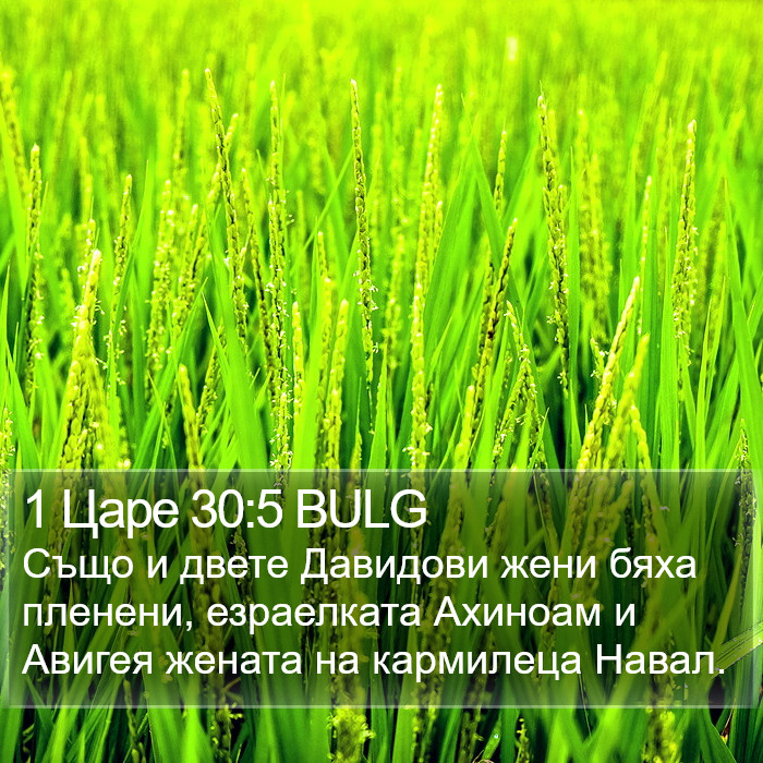 1 Царе 30:5 BULG Bible Study