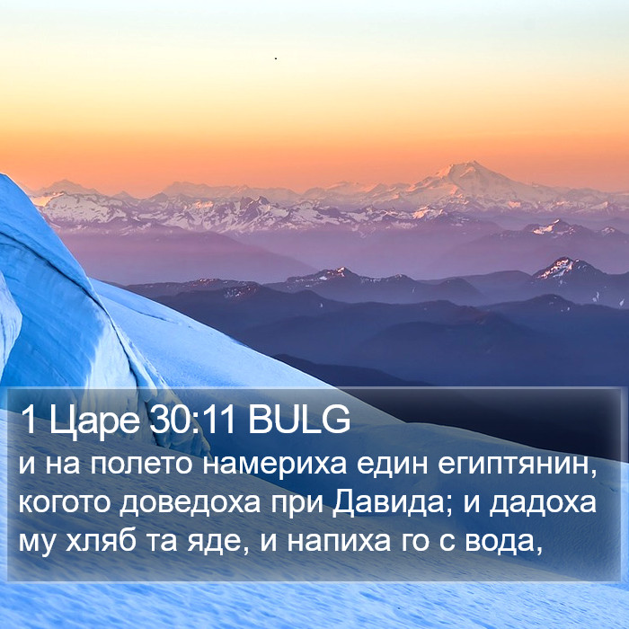 1 Царе 30:11 BULG Bible Study