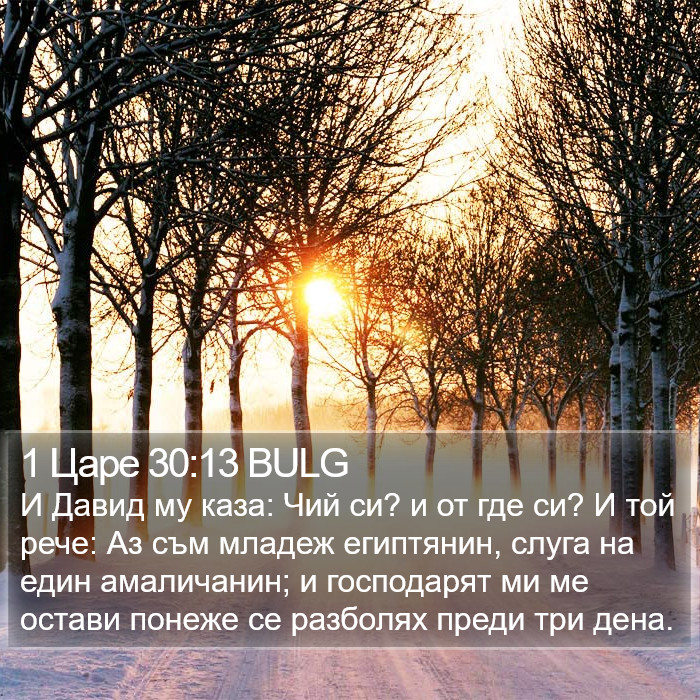 1 Царе 30:13 BULG Bible Study
