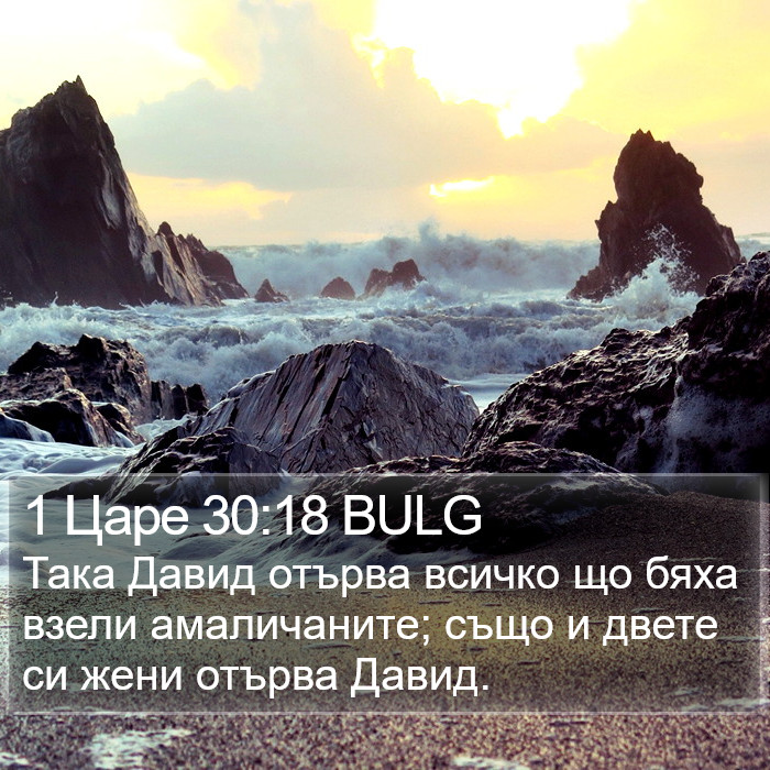 1 Царе 30:18 BULG Bible Study
