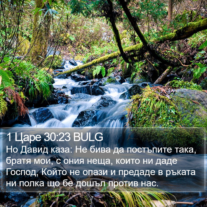 1 Царе 30:23 BULG Bible Study