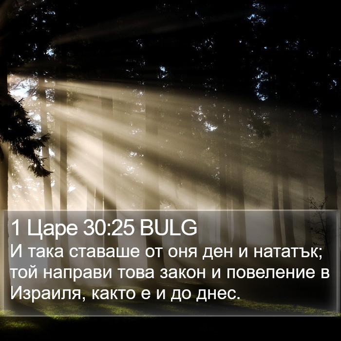 1 Царе 30:25 BULG Bible Study
