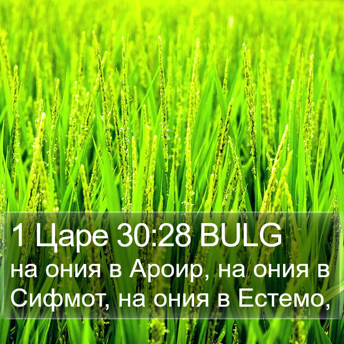1 Царе 30:28 BULG Bible Study