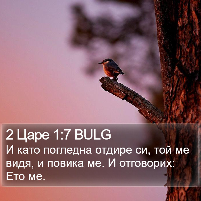 2 Царе 1:7 BULG Bible Study