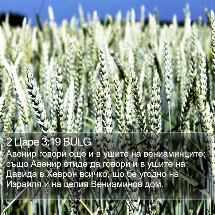 2 Царе 3:19 BULG Bible Study