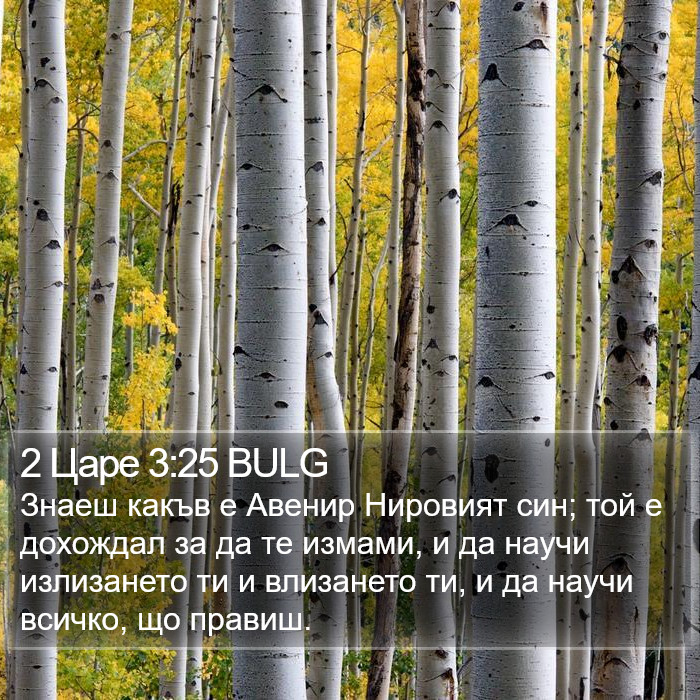 2 Царе 3:25 BULG Bible Study