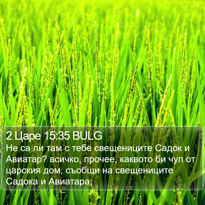 2 Царе 15:35 BULG Bible Study