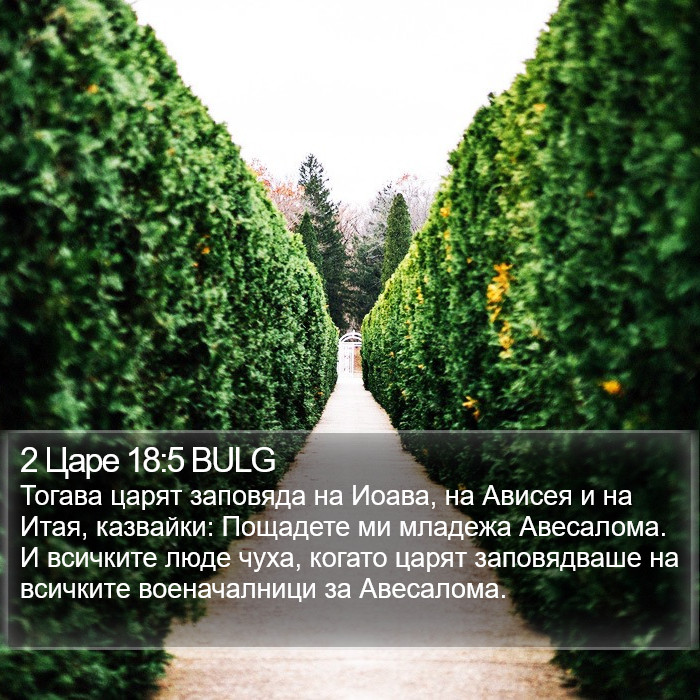 2 Царе 18:5 BULG Bible Study