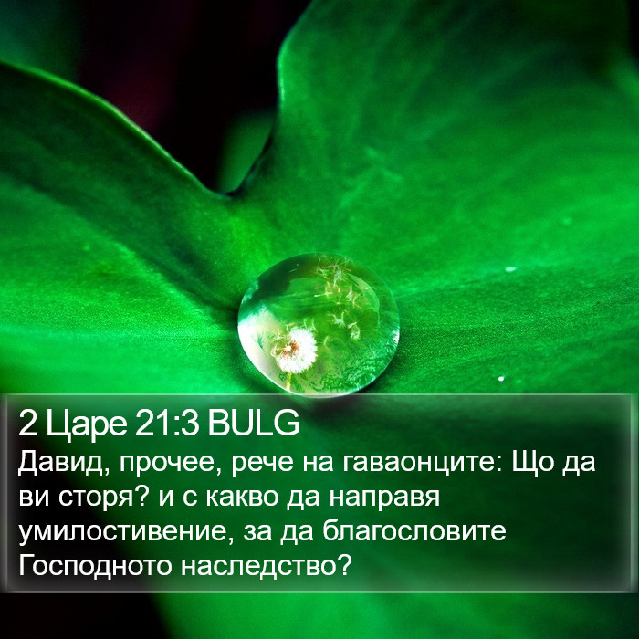 2 Царе 21:3 BULG Bible Study