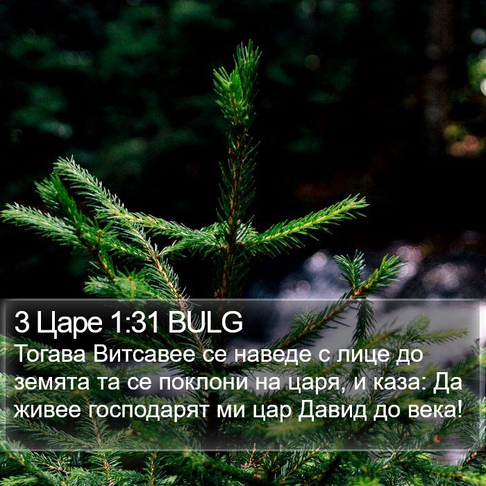 3 Царе 1:31 BULG Bible Study