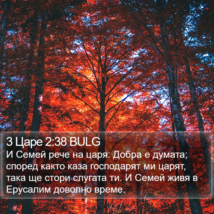 3 Царе 2:38 BULG Bible Study