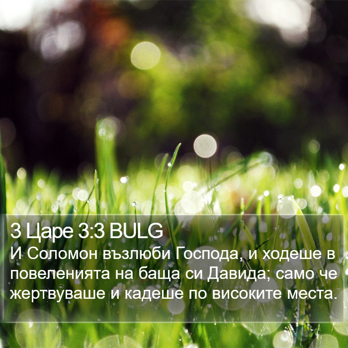 3 Царе 3:3 BULG Bible Study